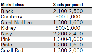 dry bean market