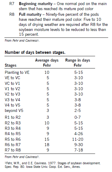 reproductive-stages
