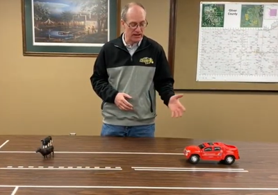 Livestock on the Road Video